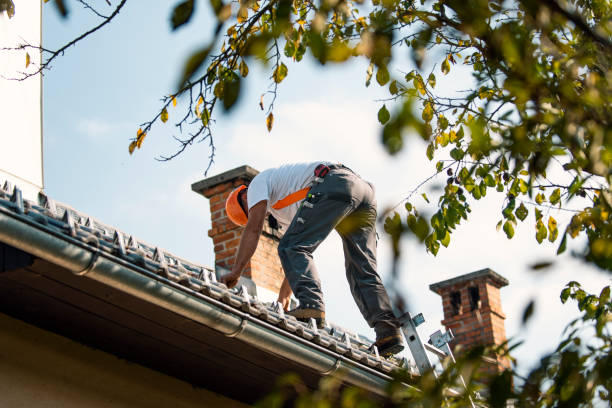 Best Roof Gutter Cleaning  in Weiser, ID